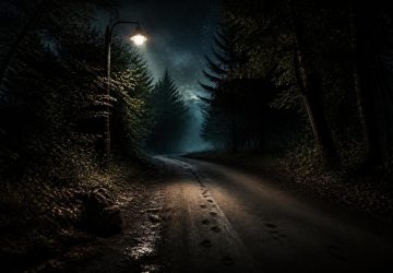 découvrez 'disparus dans la nuit' sur netflix, une série fascinante qui explore des mystères captivants et tient les spectateurs en haleine à chaque épisode.
